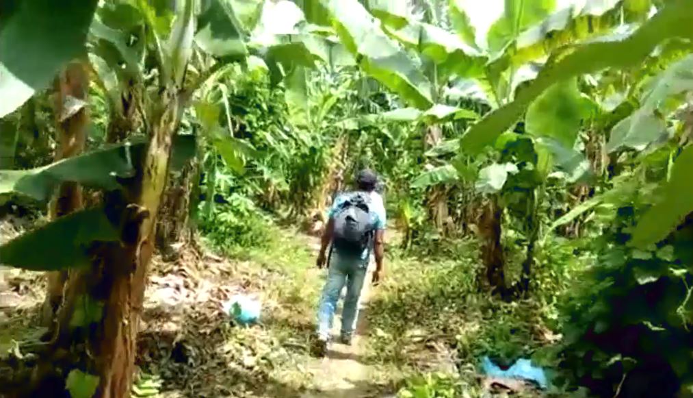 forjando_futuros_empresa_bananera