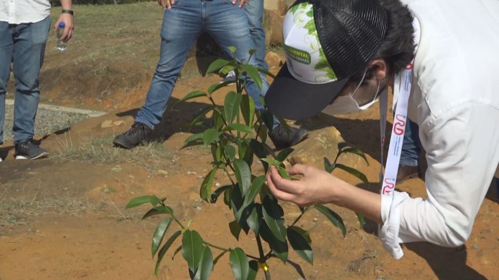 siembras_medio_ambiente