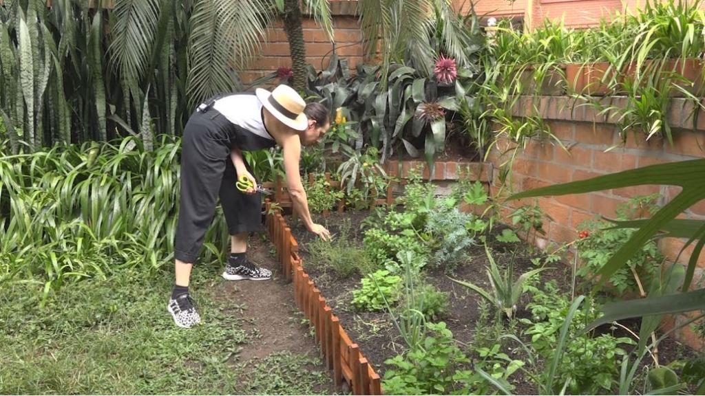 Qué hacer con la maleza en su huerta casera, les traemos algunos tips huerta_casera