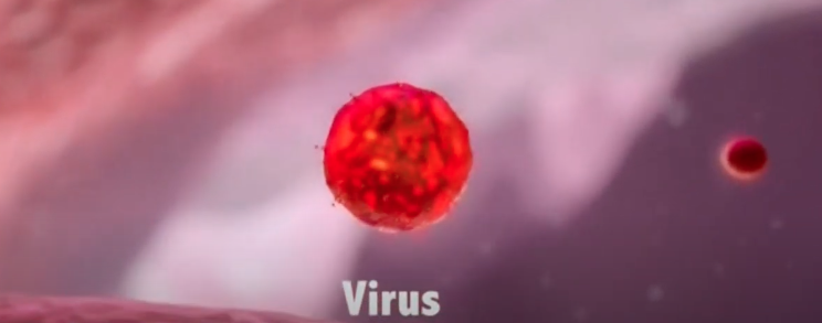 Captura de Pantalla 2020 08 29 a las 8.33.06 p. m.