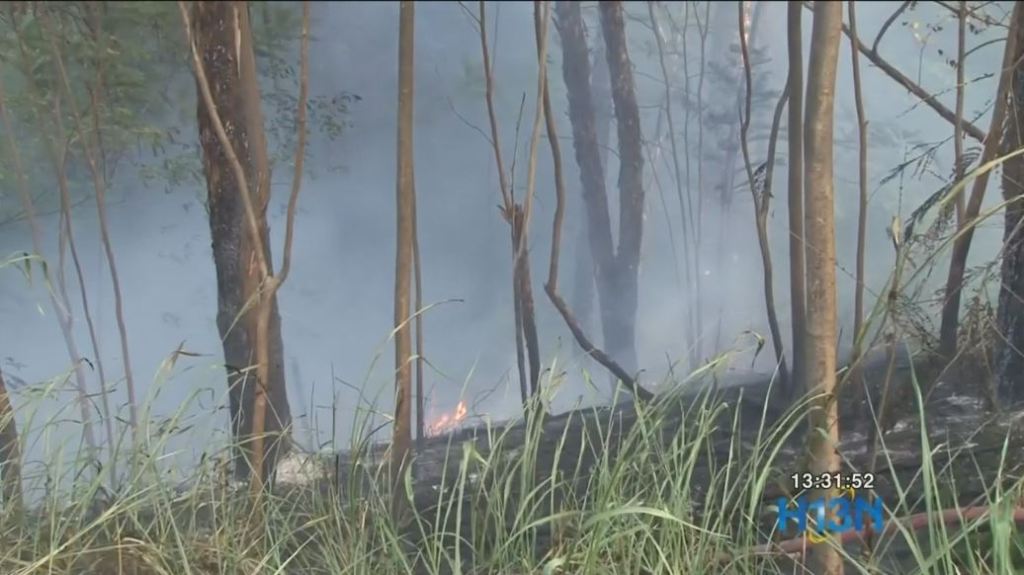 incendios_forestales