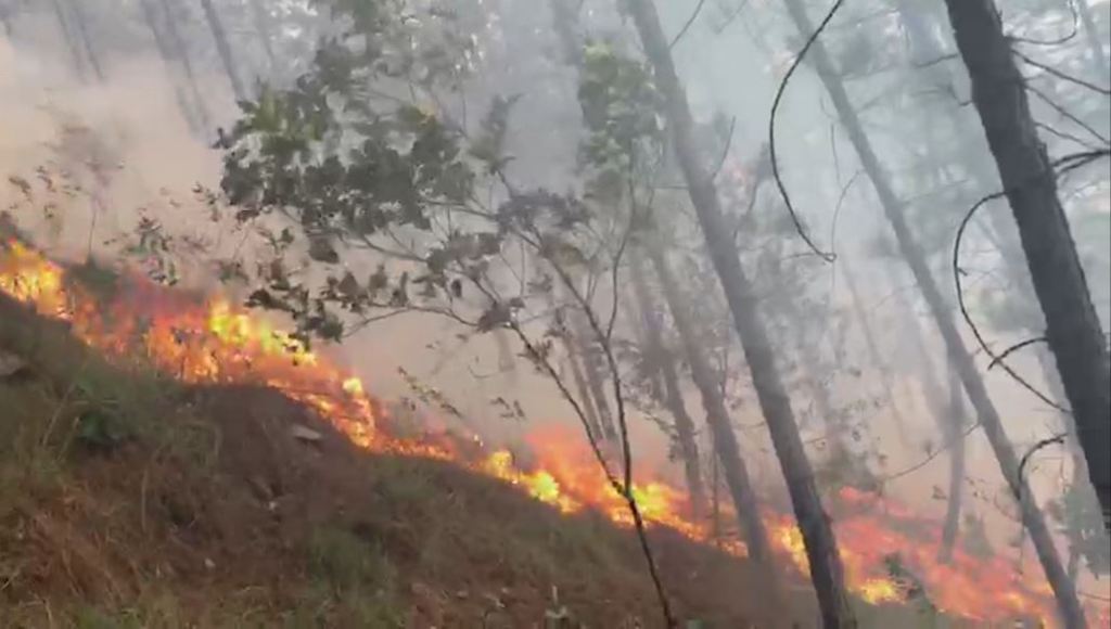 Llamado a la ciudadanía para prevenir futuros incendios indendios