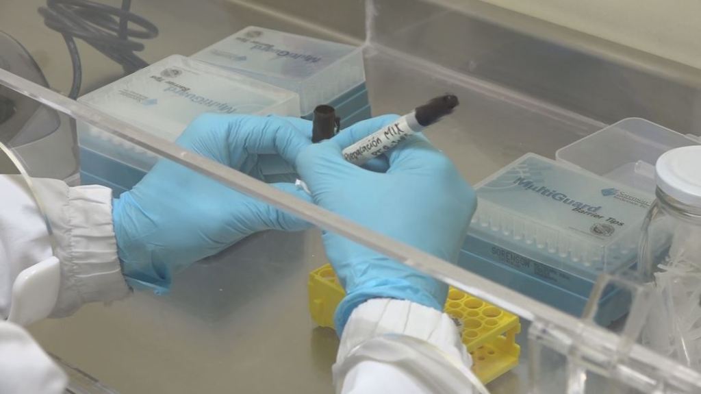 laboratorio_ces_pruebas