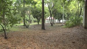 Sin pensarlo, sería su última caminata: adulto mayor fallece cerca del Jardín Botánico en Medellín