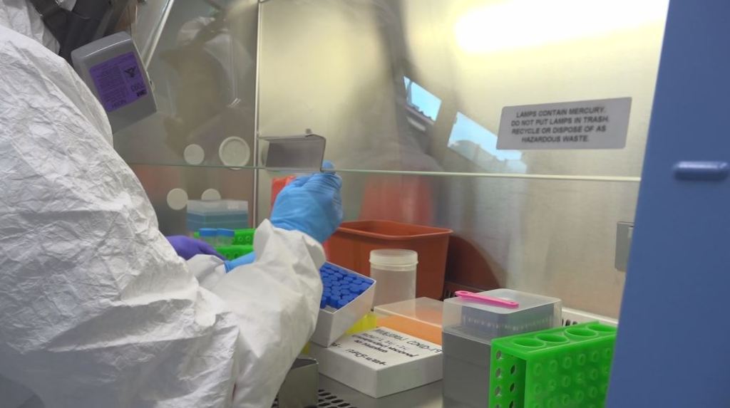 procurador_pruebas_covid