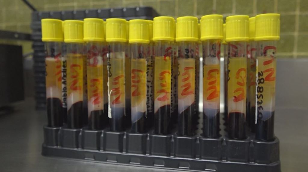 pruebas_moleculares_covid