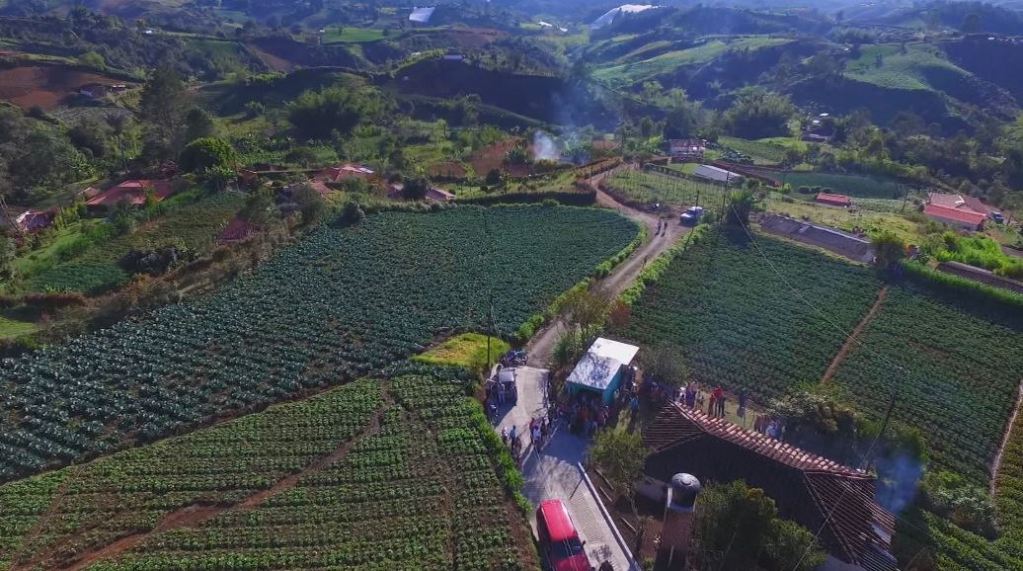 agricultura_marinilla