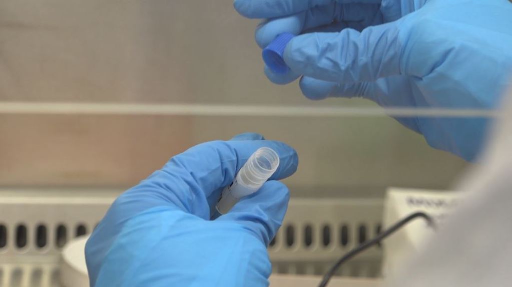 gobernador_pruebas_covid-19