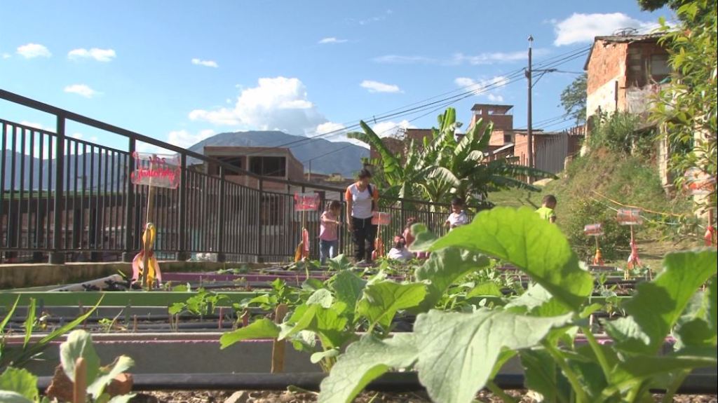 postre_huerta_casera