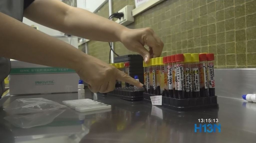 aislamiento_obligatorio