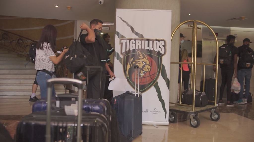 baloncesto_tigrillos