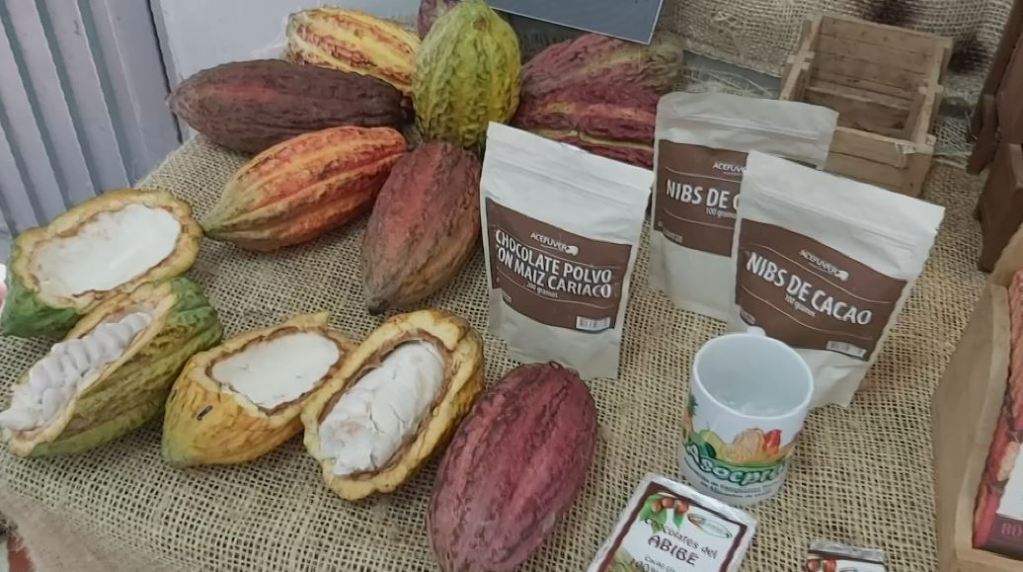 Alianza para generar mejor cosecha de cacao con tecnología cacao_agricultura