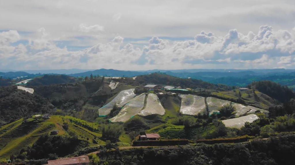 Secretaría de Agricultura implementará invernaderos de última tecnología invernaderos