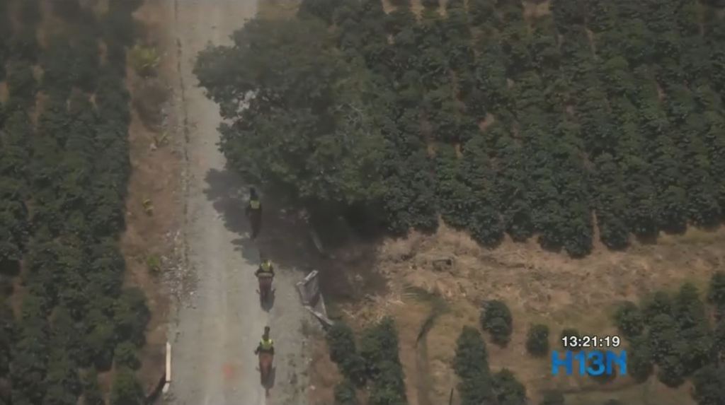 Disminuyen los homicidios en Antioquia seguridad_gobernación