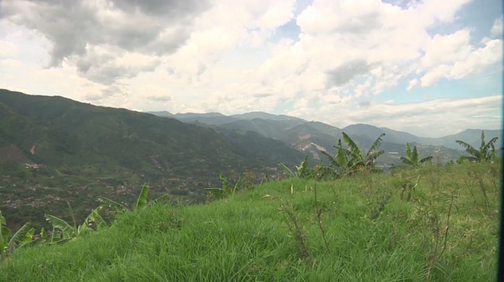 Estrategia para enfrentar el cambio climático y la deforestación en Antioquia suelos_agricultura