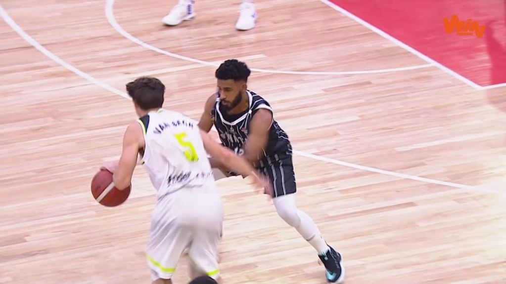 tigrillos_baloncesto