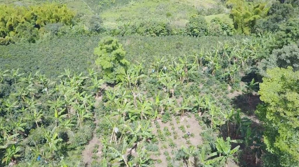 forjando_futuros_despojo_de_tierras