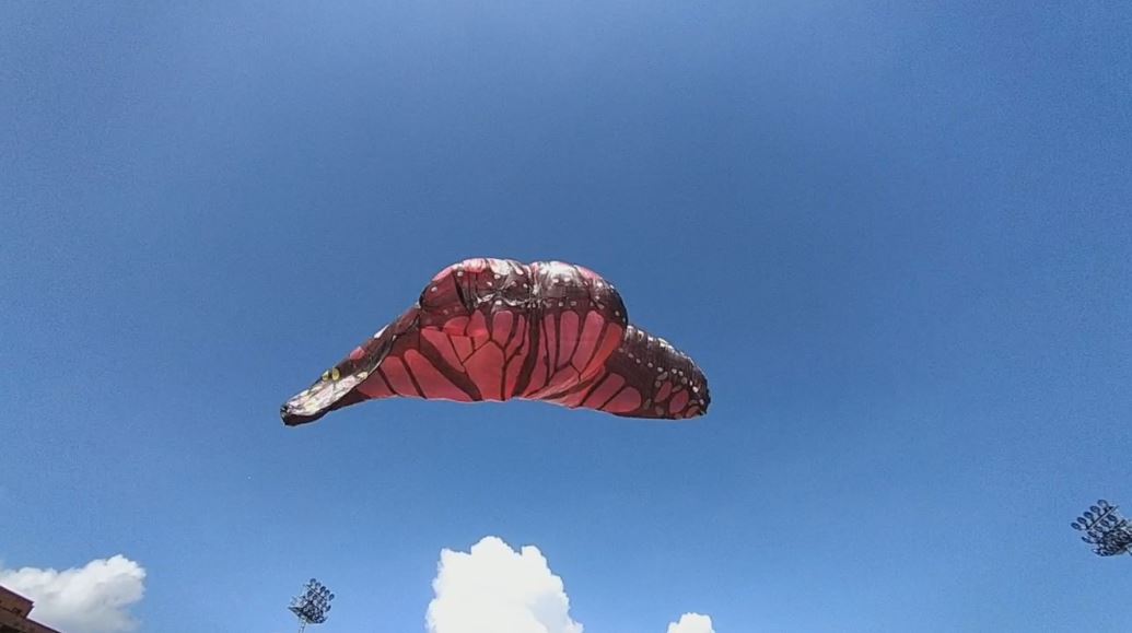 festival globos