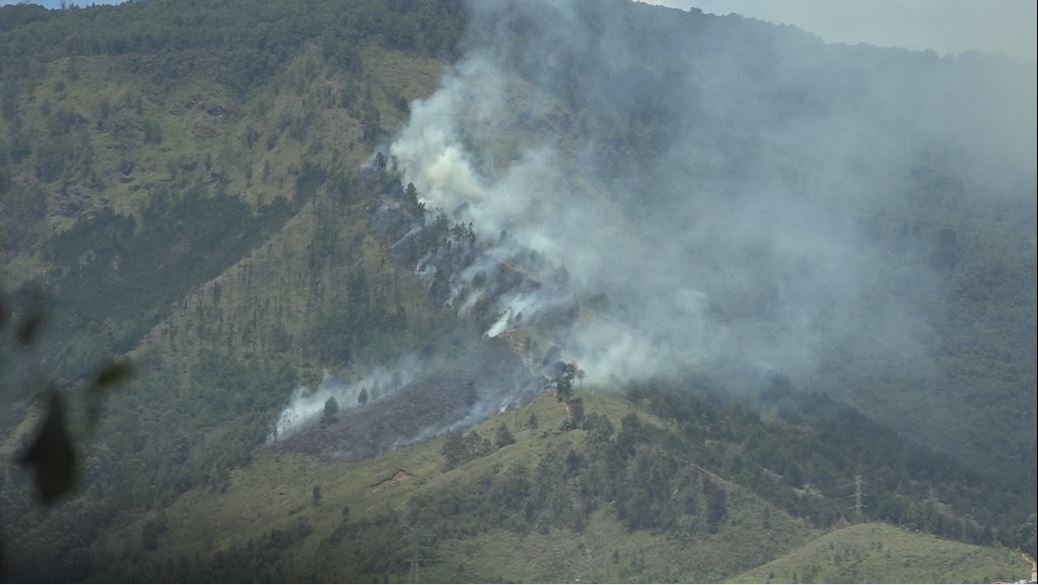 Aumenta riesgo de incendios forestales en Bajo Cauca y el Nordeste clima