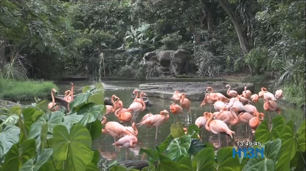 zoo