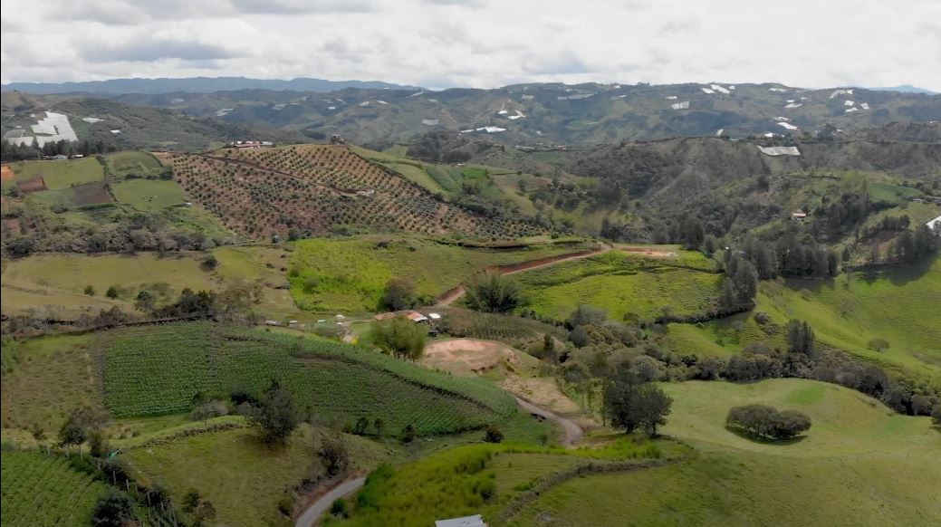 Municipios víctimas de violencia en Antioquia son priorizados para inversiones agrícolas agricultura 1