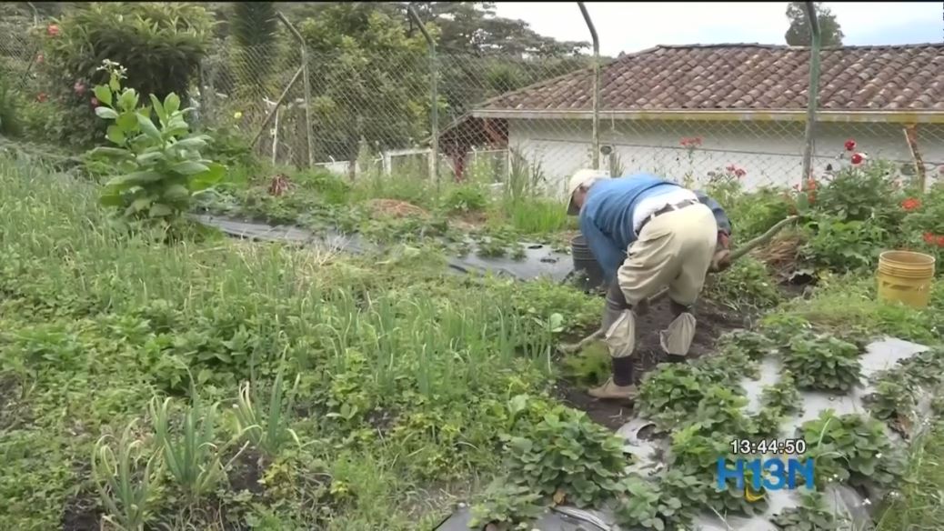 500 mil millones de pesos en créditos para vivienda rural y desarrollo agropecuario en Antioquia credito rural