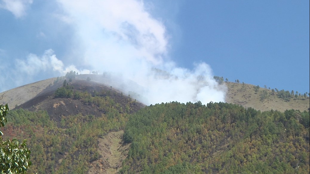 Autoridades ambientales trabajan para proteger zonas vulnerables a incendios forestales forestales