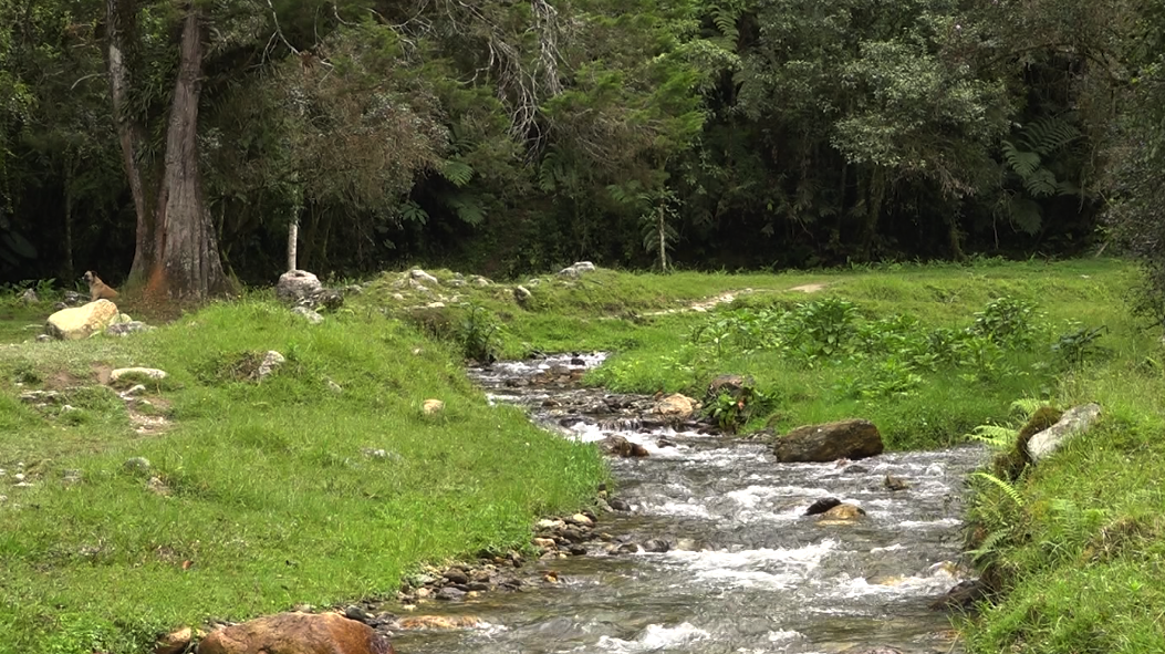 Recorre con El Postre el nacimiento del río Medellín en Caldas