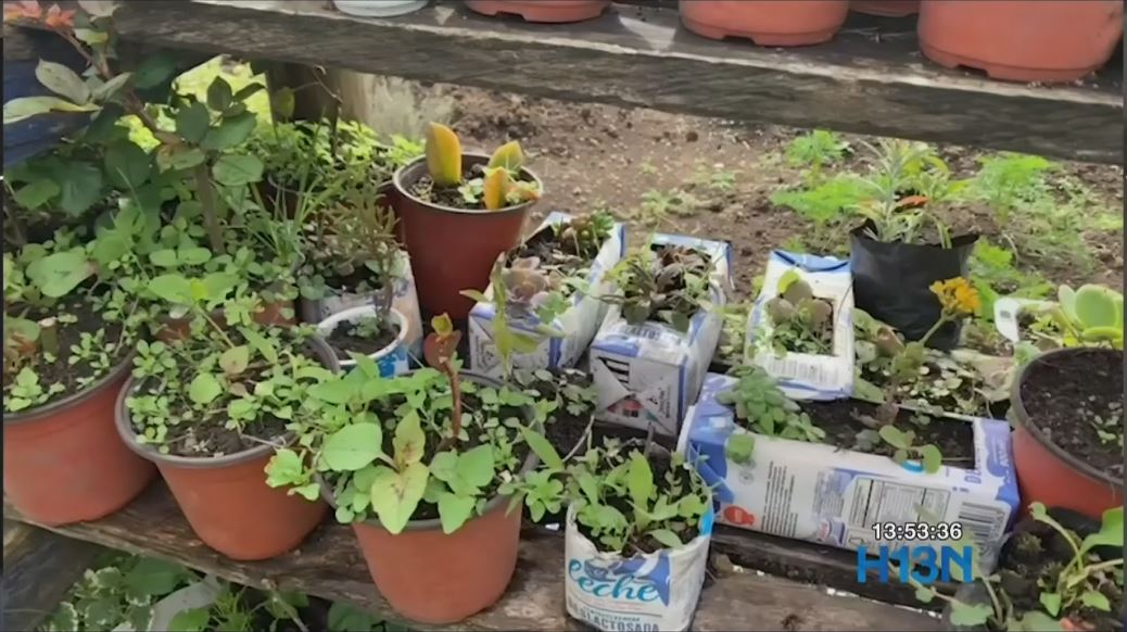Sabaneta estrena modelo de ecogranjas para atención de adultos mayores granja