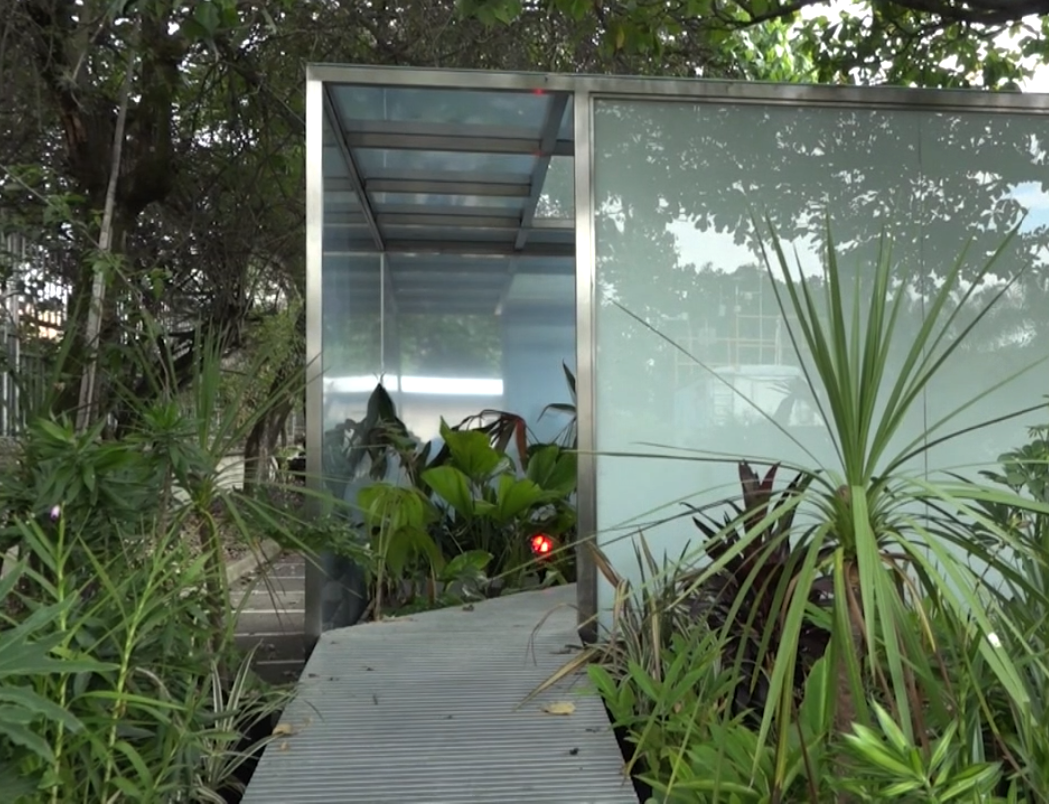 ¿Sabías que en el parqueadero del Museo de Antioquia puedes observar huertas y dinámicas ambientales?