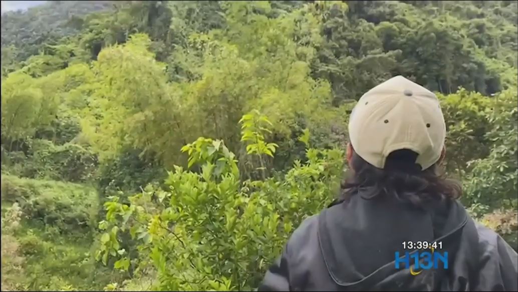 Tres mujeres son reportadas como desaparecidas en Cerro Tusa, Venecia cerro tusa
