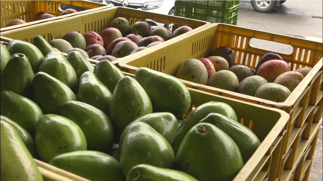alimentos 2