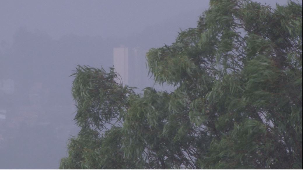 334 familias afectadas por lluvias en Antioquia lluvia