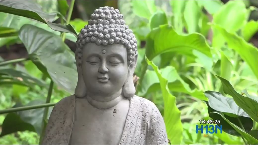 Yoga: una buena opción para ejercitar el cuerpo yoga