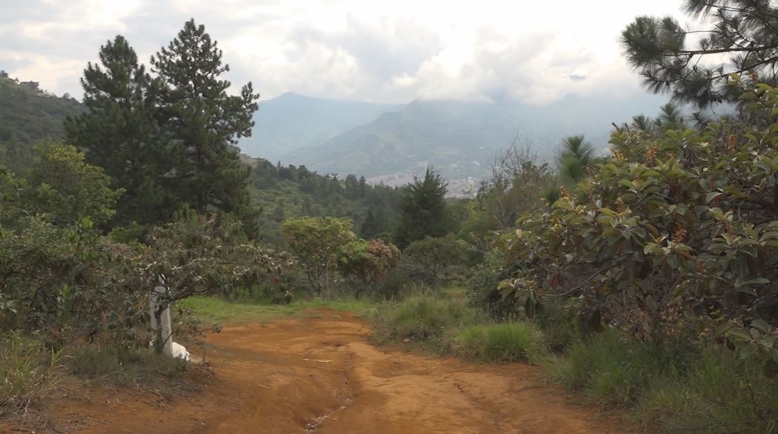 En Bello Aumentan vigilancia en el Cerro Quitasol por incendios forestales