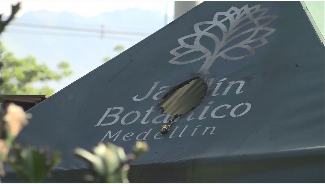 jardin botanico