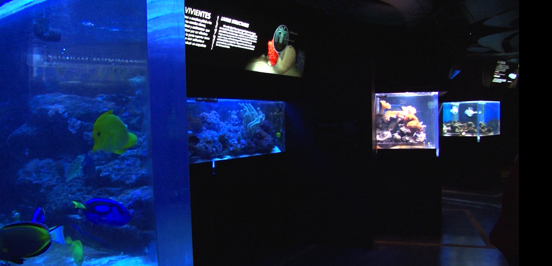 Daños en el acuario del Parque Explora por cuenta de los disturbios ACUARIO EXPLORA