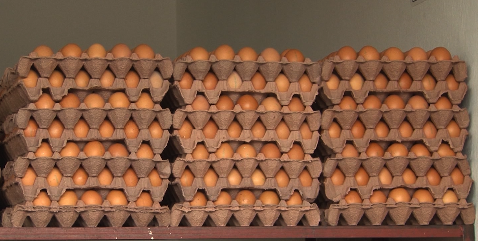 Aumentan los precios de huevos y pollo PRECIOS POLLO