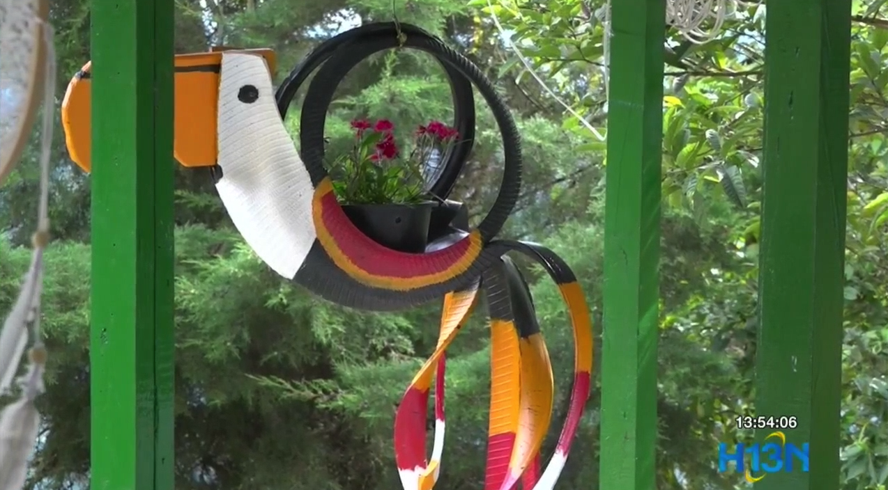 imagen palmitas gina