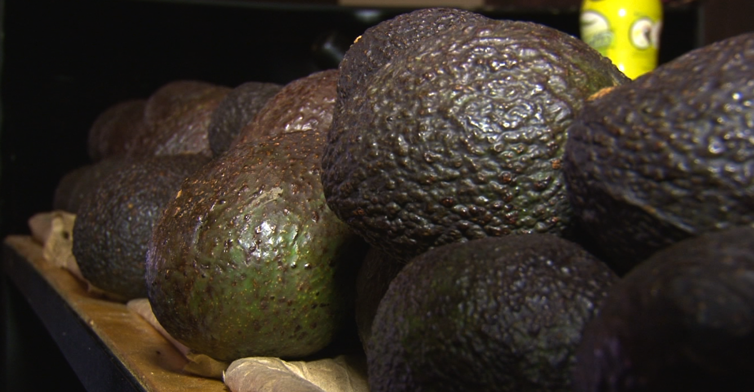 AGUACATES 1