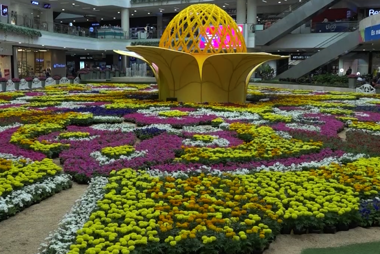 postre imagen 2 8.06.42 a. m.