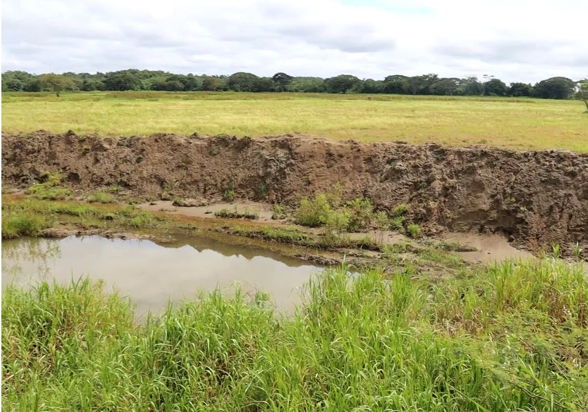 En Nechí piden recuperar 3 mil hectáreas de arroz inundadas nechi antioquia 1