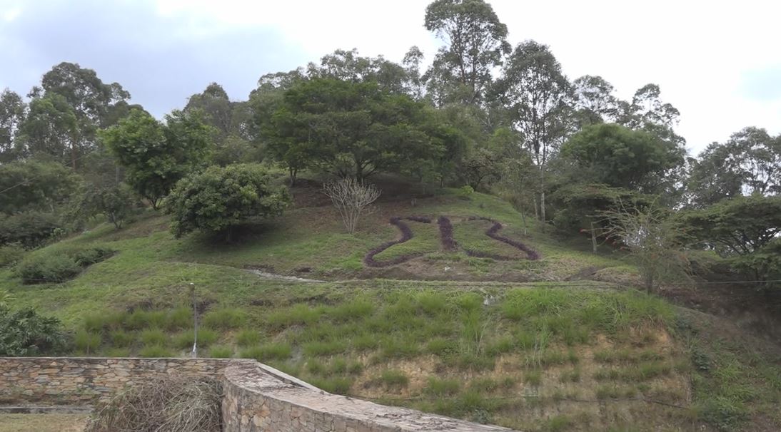 Cerro El Volador: candidato a lista verde de áreas protegidas volador cerro