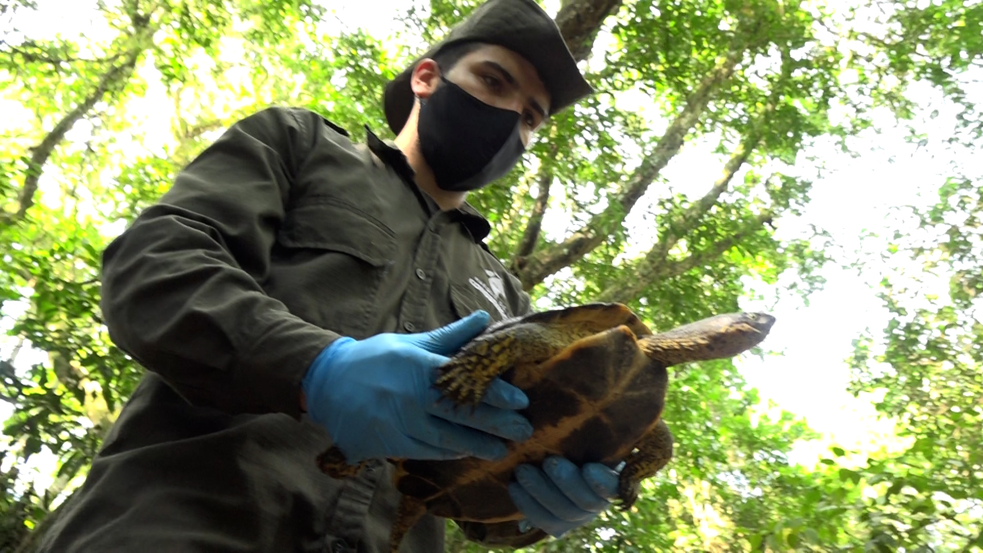 Liberan 50 tortugas en Puerto Triunfo TORTUGAS LIBERACION