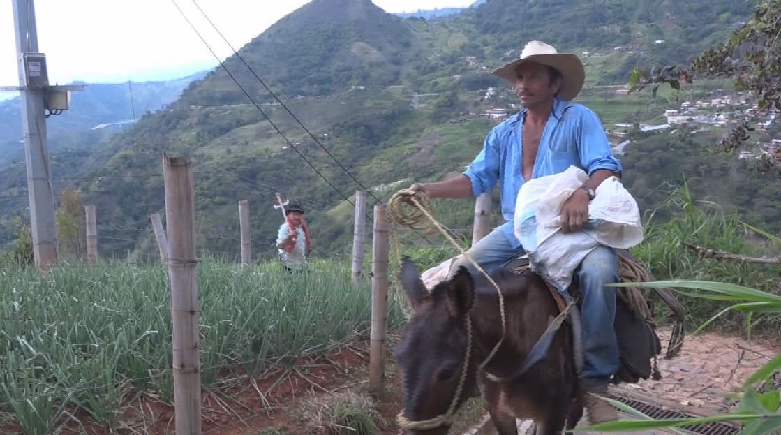 agricultura antioquia