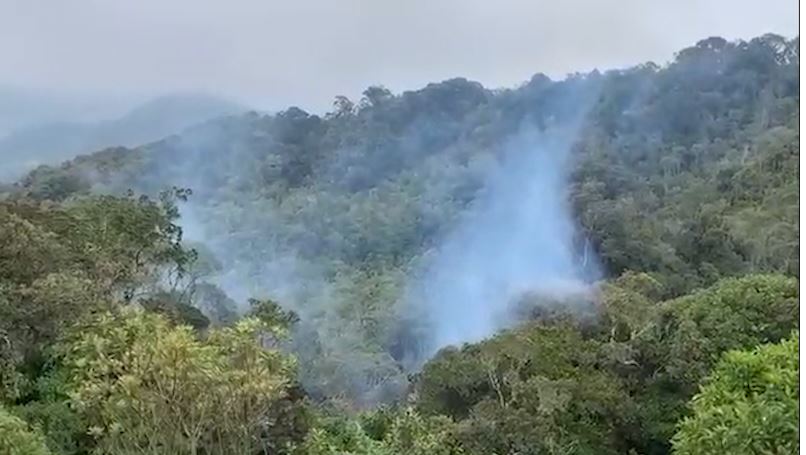 cultivadores antioquia