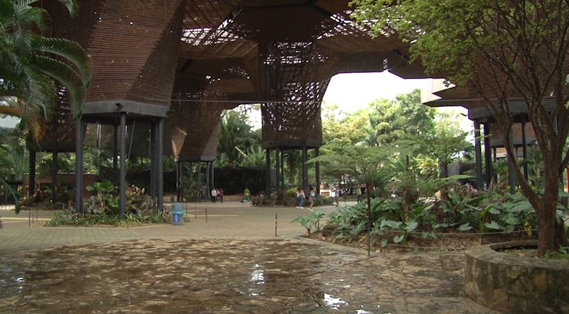 Emprendimientos sostenibles en el Jardín Botánico festival ambiental