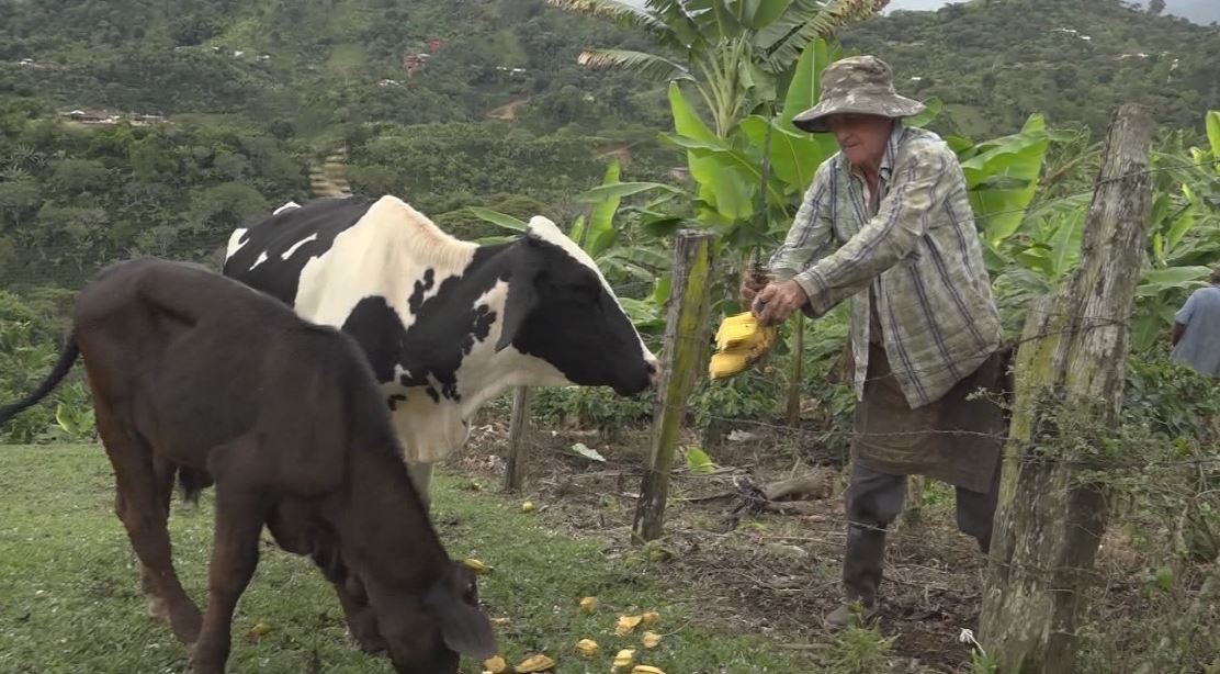 lecheros antioquia 1