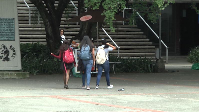 udea apertura
