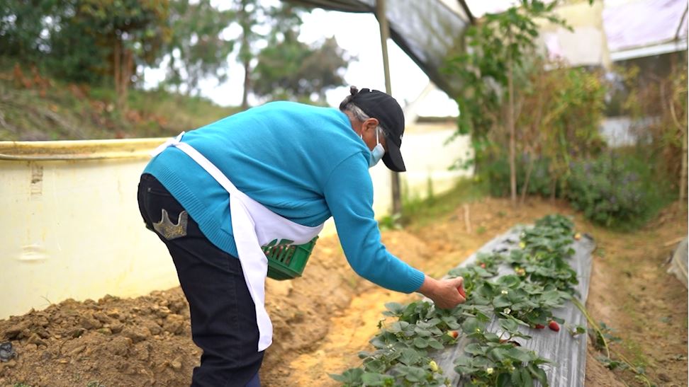 Comienzan sesiones extraordinarias en la Asamblea derechos